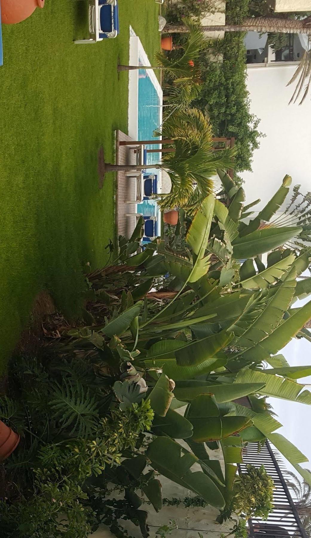 Apartmán Alsol Nogal (Adults Only) Playa del Inglés Exteriér fotografie